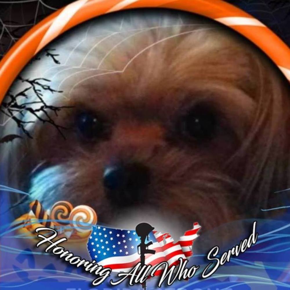 Meet your Posher, Pam